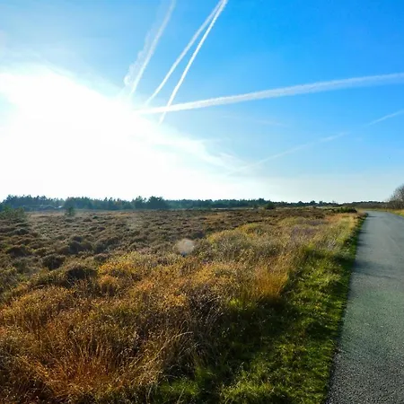 Pet Friendly In With Kitchen * Romo