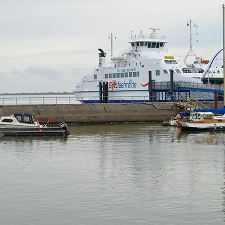 Pet Friendly In With Kitchen