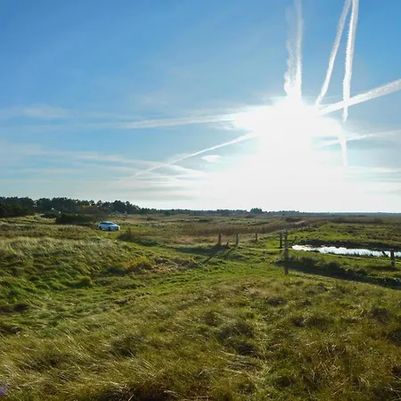 Pet Friendly In With Kitchen