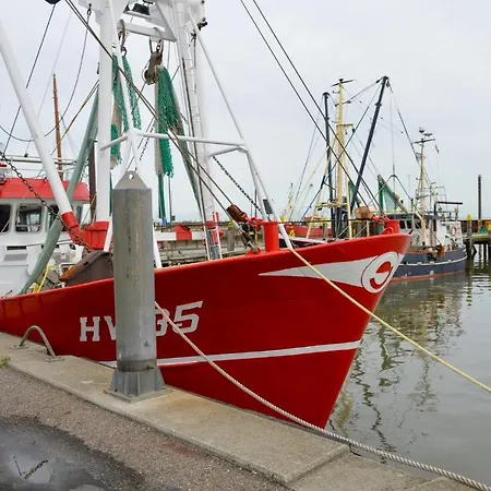 Pet Friendly In With Kitchen Hébergement de vacances *